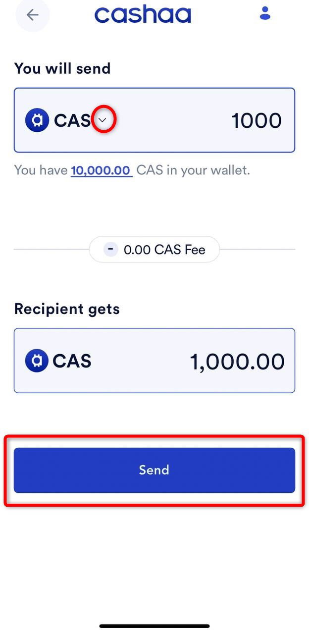 Screenshot for step 2: How to Withdraw Cryptocurrency from Cashaa
